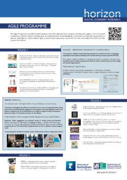 Horizon-Agile-and-Campaign-projects-poster-DE-Nexus_Page_1
